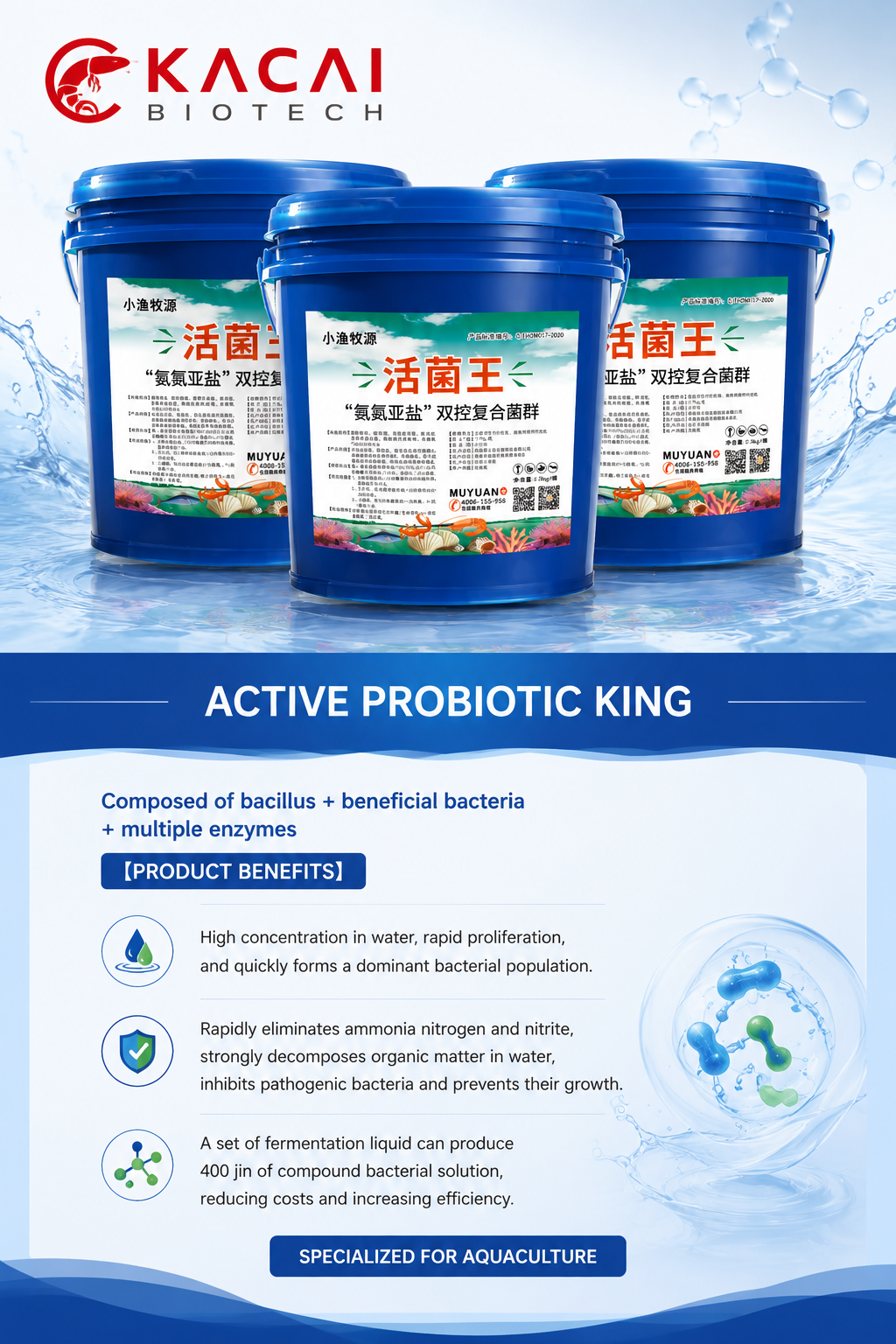 Active Probiotic King